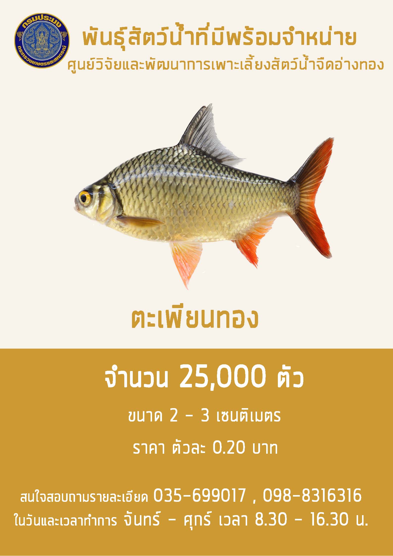 พันธุ์สัตว์น้ำพร้อมจำหน่าย ปลาตะเพียนทอง..คลิก