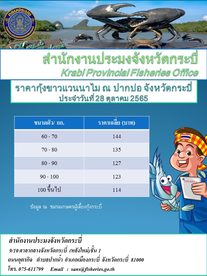 ราคากุ้งขาวประจำวันที่ 28 ตุลาคม 2565..คลิก