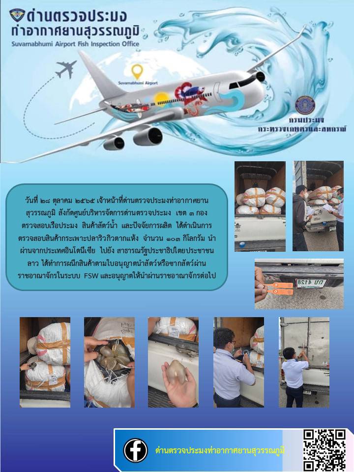 เปิดตรวจสินค้ากระเพาะปลาริวกิวนำผ่าน