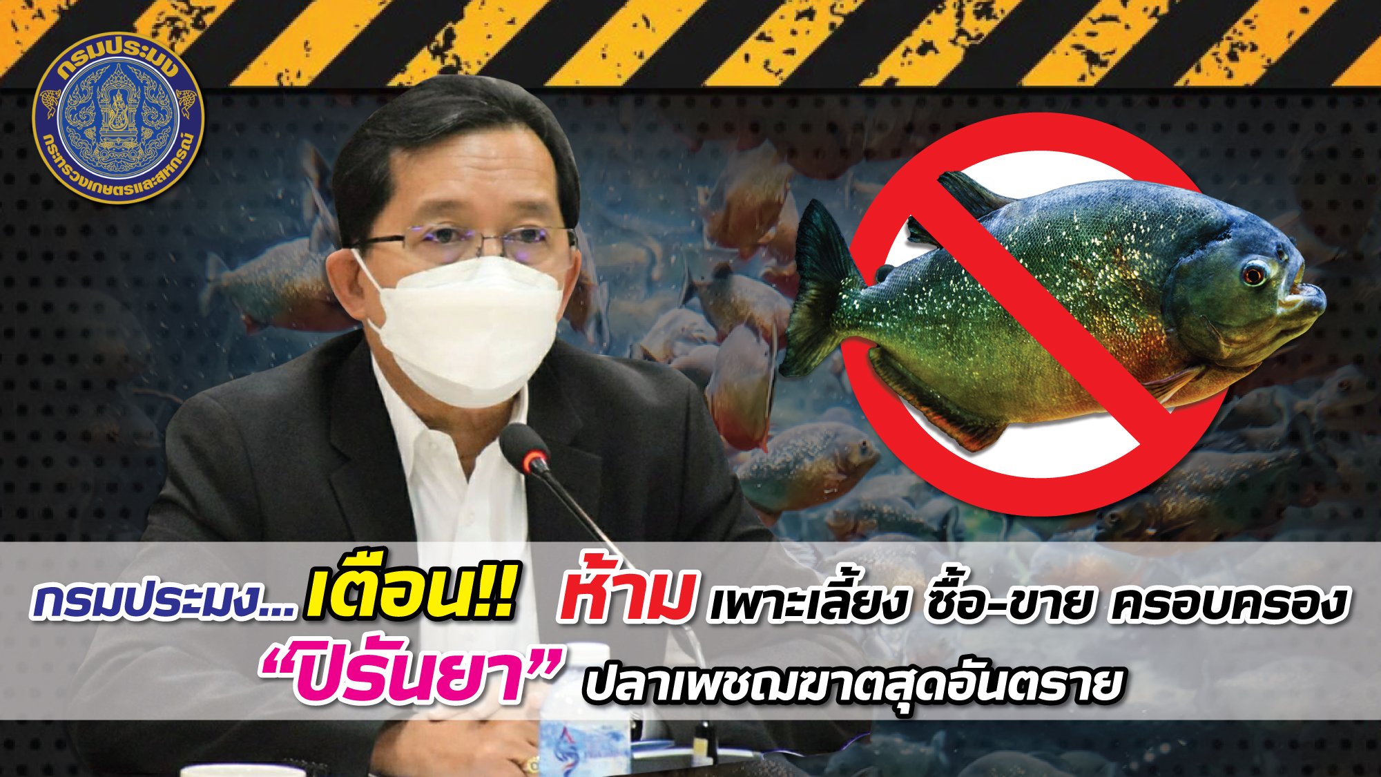 ประชาสัมพันธ์!!!กรมประมง...เตือน!! ห้ามเพาะเลี้ยง ซื้อ – ขาย ครอบครอง “ปิรันยา” ปลาเพชฌฆาตสุดอันตราย