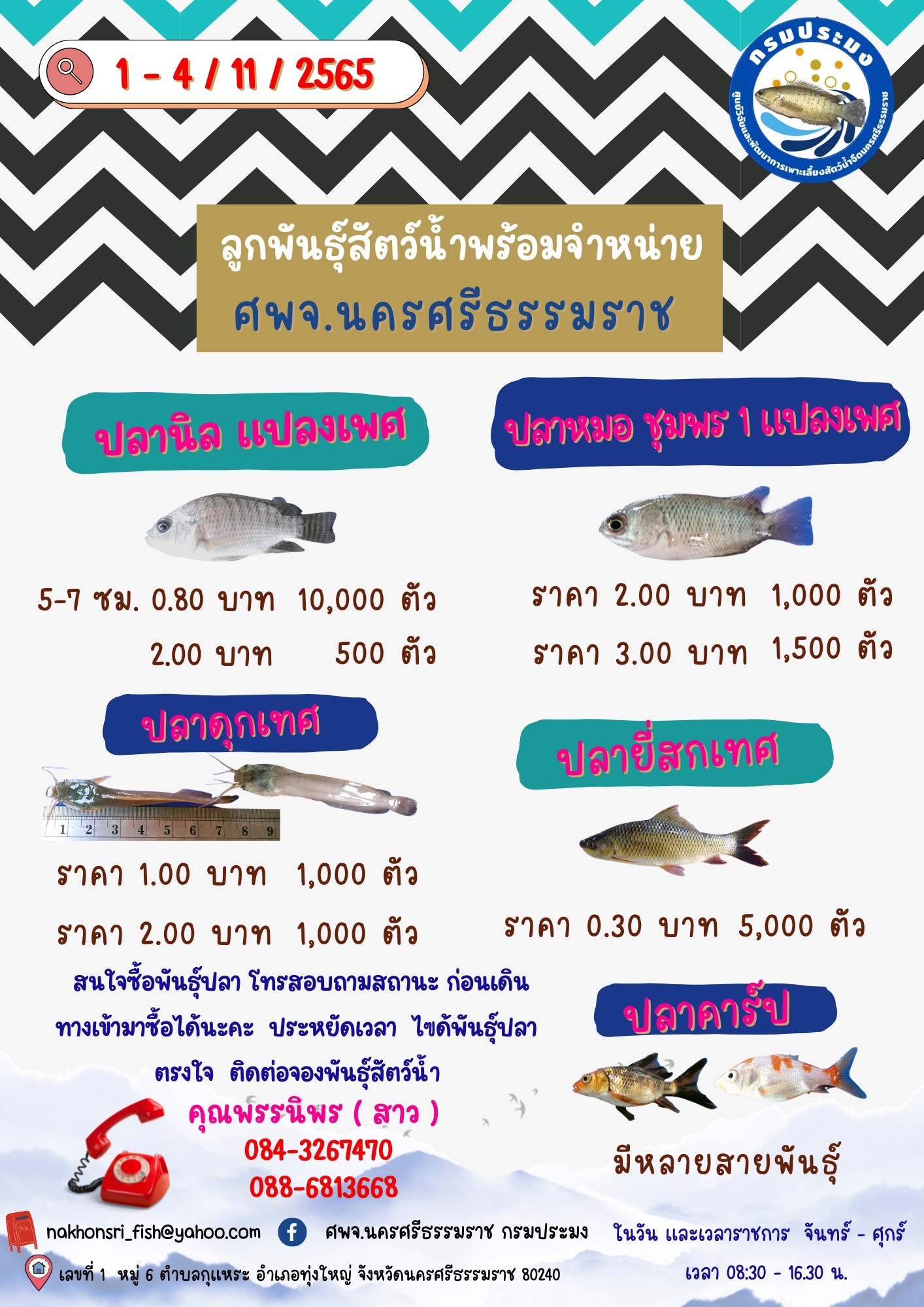 ลูกพันธุ์สัตว์น้ำพร้อมจำหน่าย..คลิก