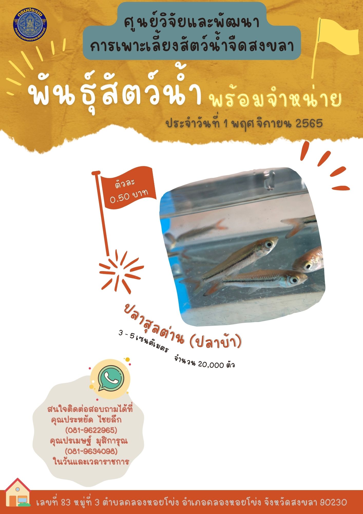 พันธ์ุสัตว์น้ำพร้อมจำหน่าย