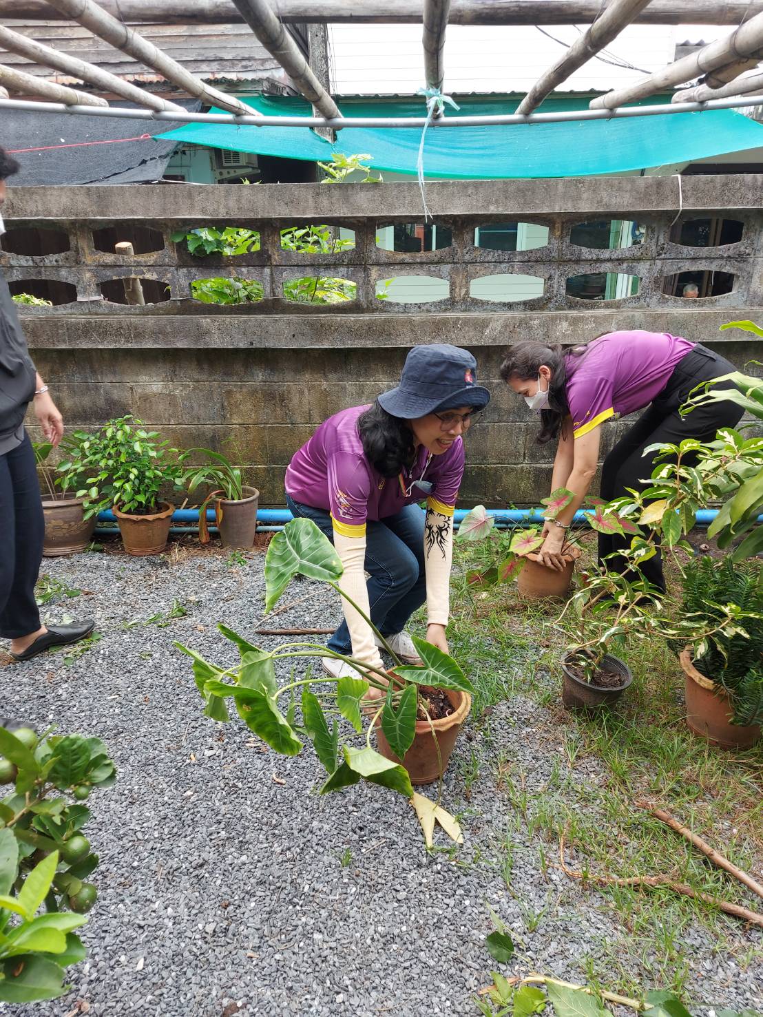 ประมงจังหวัดพัทลุง นำข้าราชการ พนักงานราชการ และลูกจ้างประจำ ร่วมพัฒนาสำนักงานฯ ประจำสัปดาห์