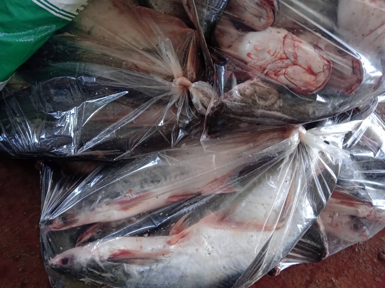 ตรวจสินค้าประมงที่นำเข้า ส่งออก ทางจุดผ่านแดนถาวรบ้านคลองลึก..คลิก