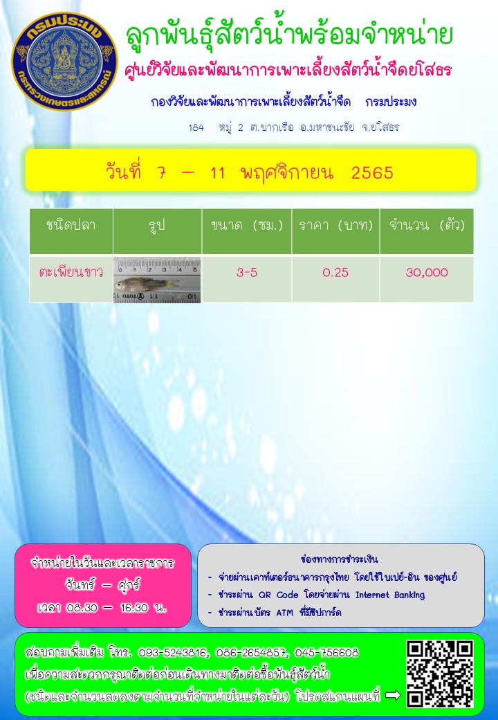 ลูกพันธุ์สัตว์น้ำพร้อมจำหน่าย 7 - 11 พ.ย.. 2565..คลิก