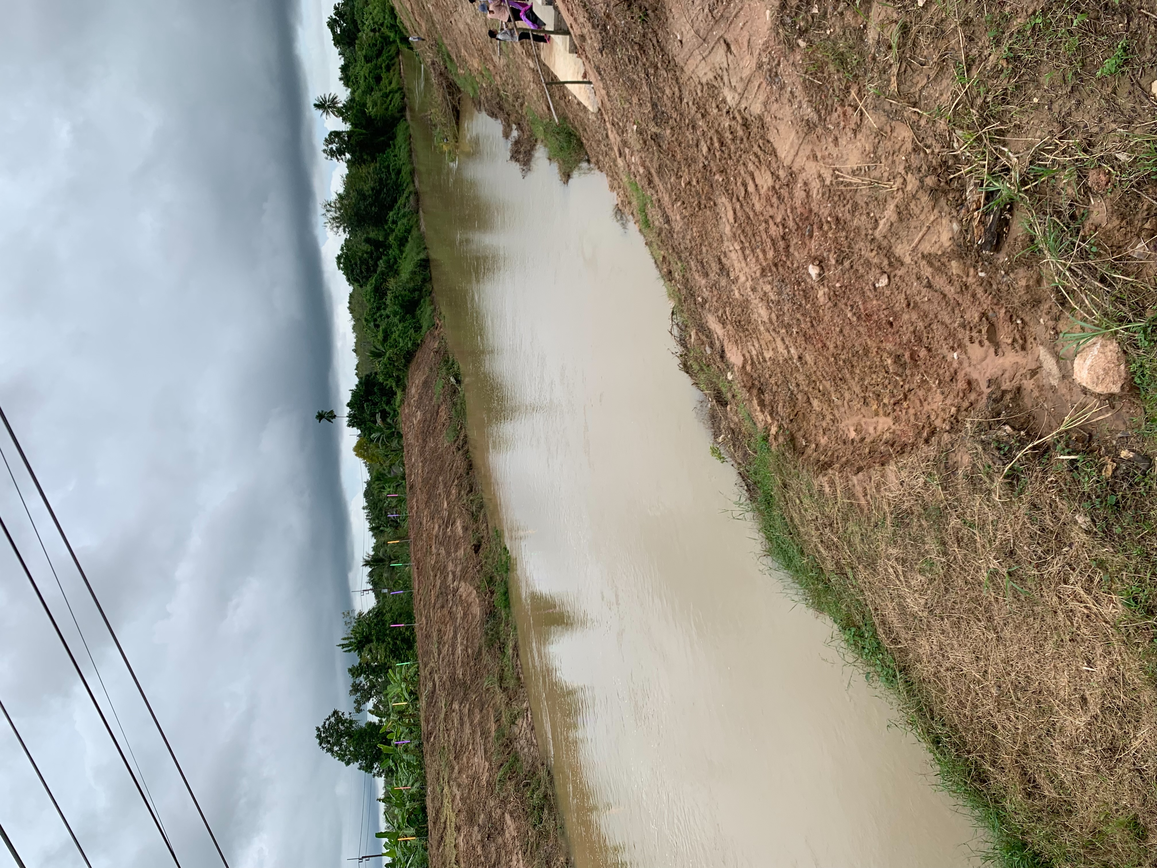 ประมงจังหวัดพัทลุง ลงพื้นที่ติดตามสถานการณ์น้ำในช่วงสภาวะฝนตกอย่างต่อเนื่อง และเข้าเยี่ยมชมฟาร์มเกษตรกรอำเภอบางแก้ว พูดคุยการผลิตลูกพันธุ์ปลาชะโอน  ตำบลแหลมโตนด อำเภอควนขนุน จังหวัดพัทลุง