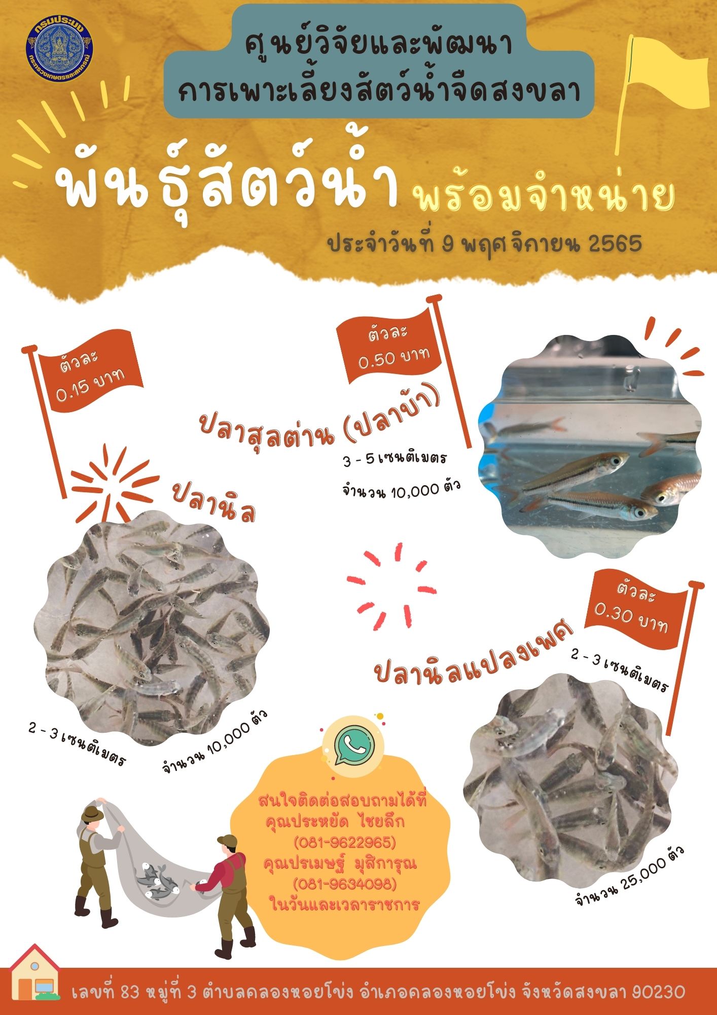 พันธุ์สัตว์น้ำพร้อมจำหน่าย