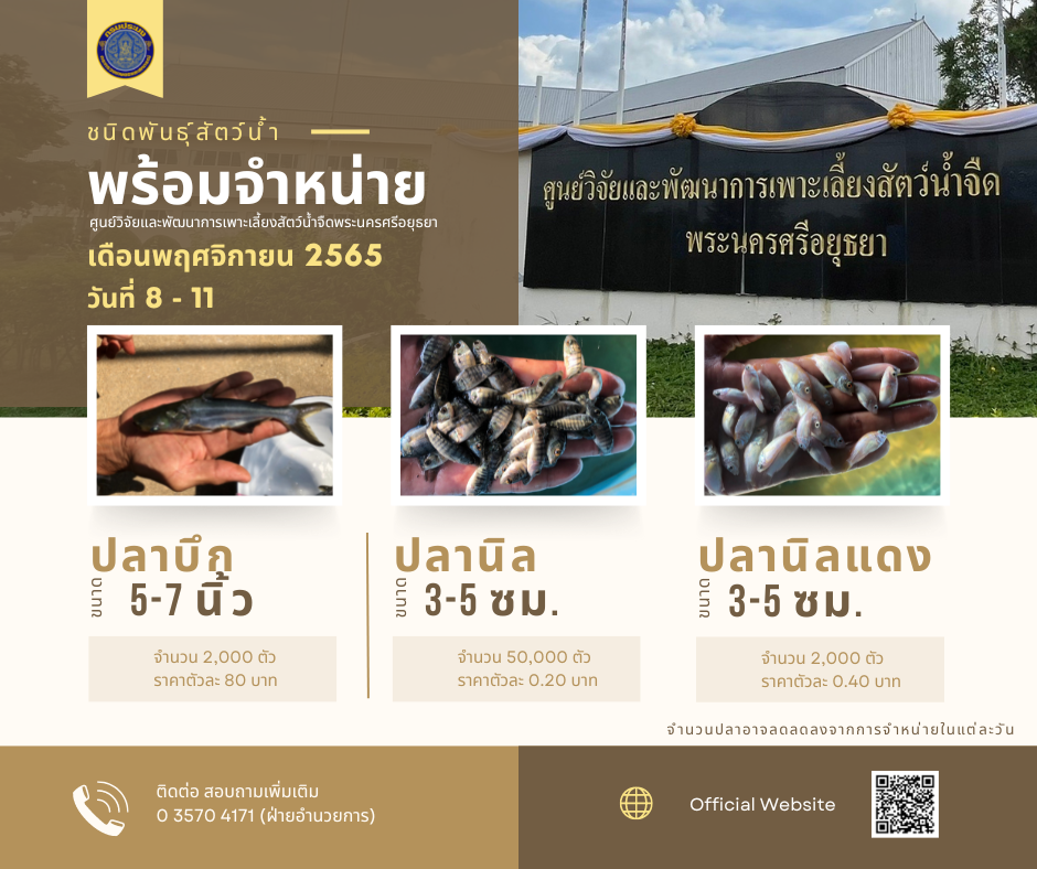 ชนิดพันธุ์สัตว์น้ำพร้อมจำหน่าย (8-11 พฤศจิกายน 2565)..คลิก