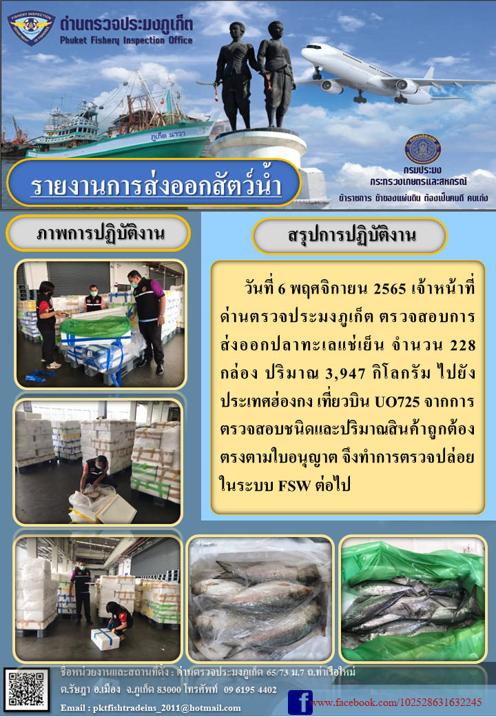 วันที่ 6 พฤศจิกายน 2565 เจ้าหน้าที่ด่านตรวจประมงภูเก็ต ตรวจสอบการส่งออกปลาทะเลแช่เย็น จำนวน 228 กล่อง ปริมาณ 3,947 กิโลกรัม ไปยังฮ่องกง เที่ยวบิน UO725 จากการตรวจสอบชนิดและปริมาณสินค้าถูกต้องตรงตามใบอนุญาต จึงทำการตรวจปล่อยในระบบ FSW ต่อไป..คลิก