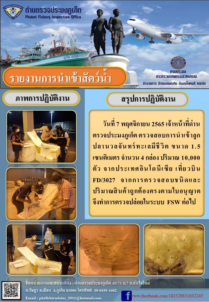 วันที่ 7 พฤศจิกายน 2565 เจ้าหน้าที่ด่านตรวจประมงภูเก็ต ตรวจสอบการน้ำเข้าลูกปลาจะละเม็ดมีขนาด 1.5 เซนติเมตร จำนวน 4 กล่อง ปริมาณ 10,000 ตัว จากประเทศอินโดนีเซีย เที่ยวบิน FD 3027 จากการตรวจสอบชนิดและปริมาณสินค้าถูกต้องตรงตามใบอนุญาต จึงทำการตรวจปล่อยในระบบ FSW ต่อไป..คลิก