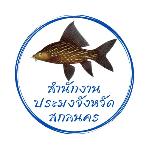 ประกาศผู้ชนะการจัดซื้อจัดจ้าง..คลิก