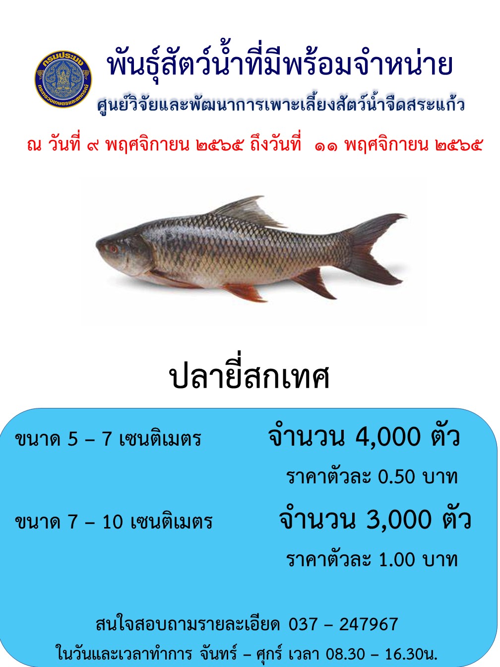 ลูกพันธุ์ปลายี่สกเทศพร้อมจำหน่าย..คลิก