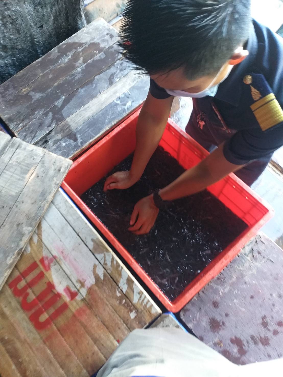 ตรวจสอบลูกพันธุ์สัตว์น้ำ ส่งออกไปยัง สปป.ลาว..คลิก