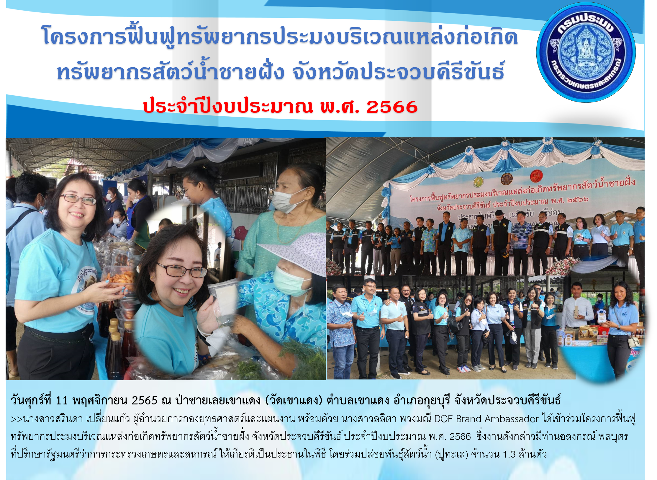 โครงการฟื้นฟูทรัพยากรประมงบริเวณแหล่งก่อเกิดทรัพยากรสัตว์น้ำชายฝั่ง 2566 ณ ป่าชายเลนเขาแดง (วัดเขาแดง)