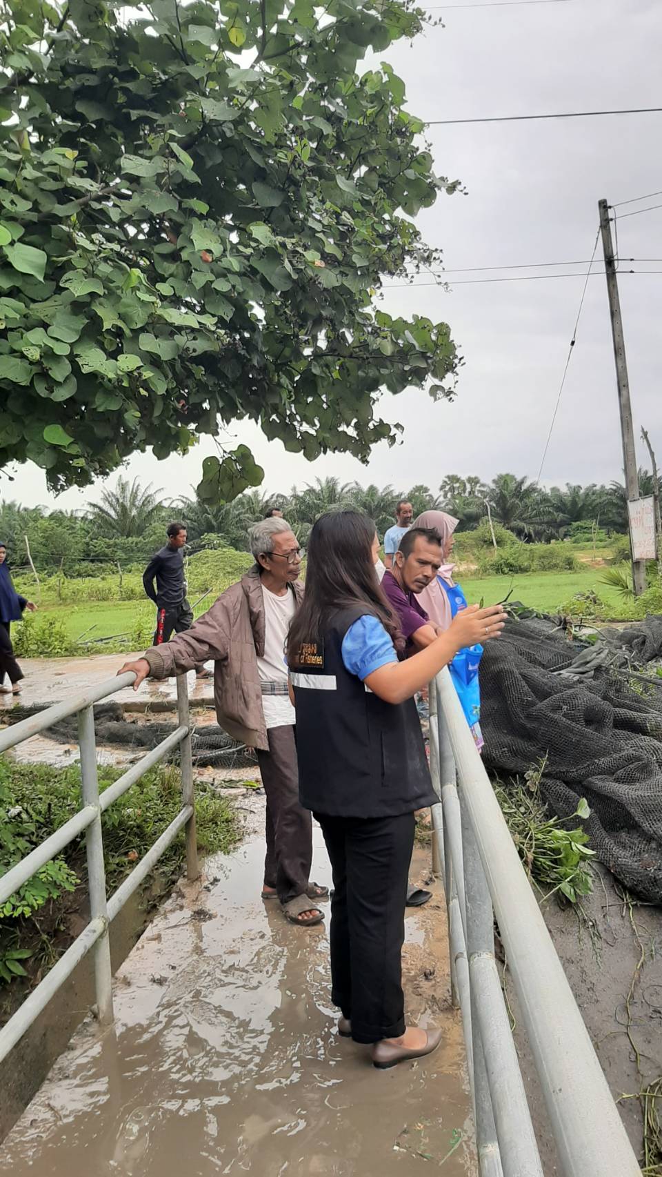 ประมงอำเภอบางแก้ว เข้าตรวจสอบความเสียหายของกระชังเลี้ยงปลา ที่เกิดจากสถานการณ์ฝนตกต่อเนื่อง พื้นที่ ตำบลนาปะขอ อำเภอบางแก้ว