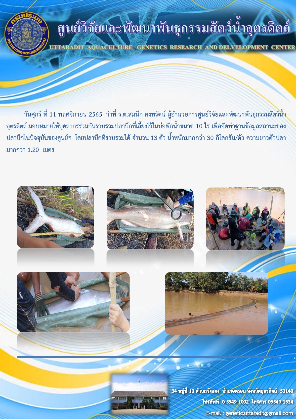 จัดทำฐานข้อมูลสถานะของปลาบึกในปัจจุบันของศูนย์ฯ
