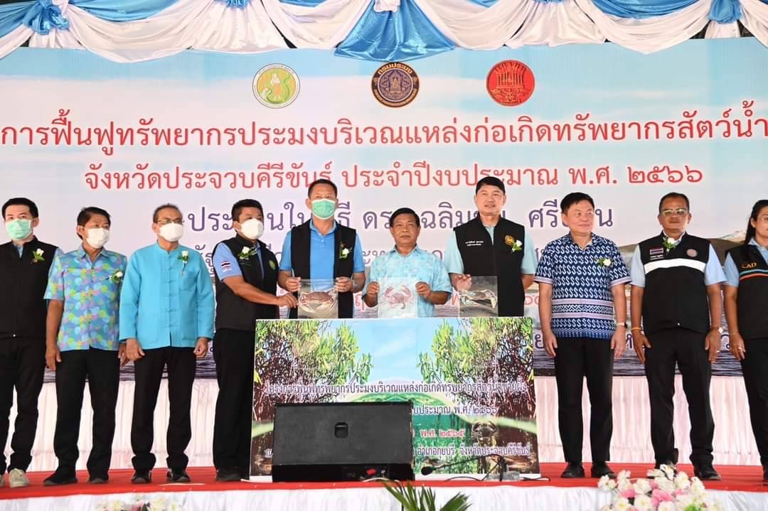 กิจกรรมปล่อยพันธุ์ปูทะเล โดยมี นายอลงกรณ์ พลบุตร ที่ปรึกษารัฐมนตรีว่าการกระทรวงเกษตรและสหกรณ์ ได้ให้เกียรติเป็นประธาน ตามโครงการ “ฟื้นฟูทรัพยากรประมงบริเวณแหล่งก่อเกิดทรัพยากรสัตว์น้ำชายฝั่ง จังหวัดประจวบคีรีขันธ์”..คลิก