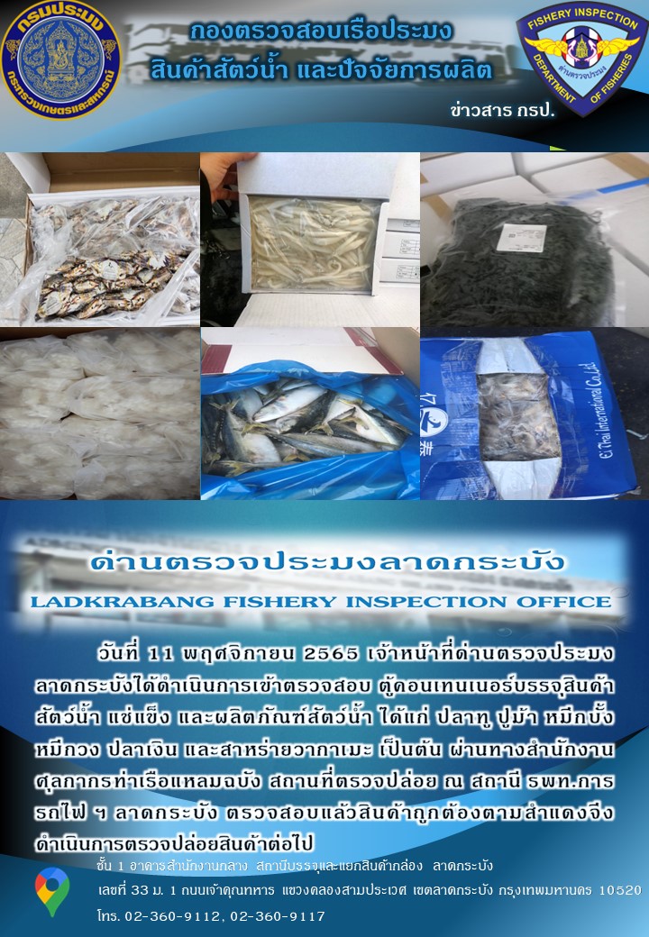 ตรวจสอบสินค้าสัตว์น้ำนำเข้าประจำวันที่ 11 พฤศจิกายน 2565..คลิก