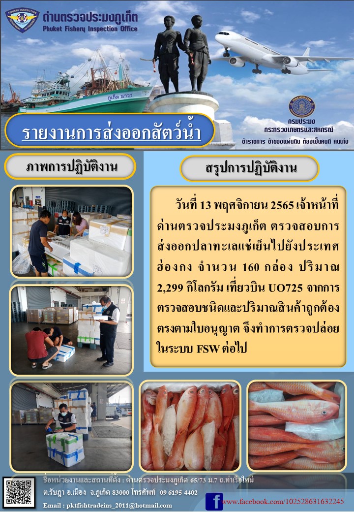 วันที่ 13 พฤศจิกายน 2565 เจ้าหน้าที่ด่านตรวจประมงภูเก็ต ตรวจสอบการส่งออกปลาทะเลแช่เย็น จำนวน 160 กล่อง ปริมาณ 2,299 กิโลกรัม ไปยังฮ่องกง เที่ยวบิน UO725 จากการตรวจสอบชนิดและปริมาณสินค้าถูกต้องตรงตามใบอนุญาต จึงทำการตรวจปล่อยในระบบ FSW ต่อไป..คลิก