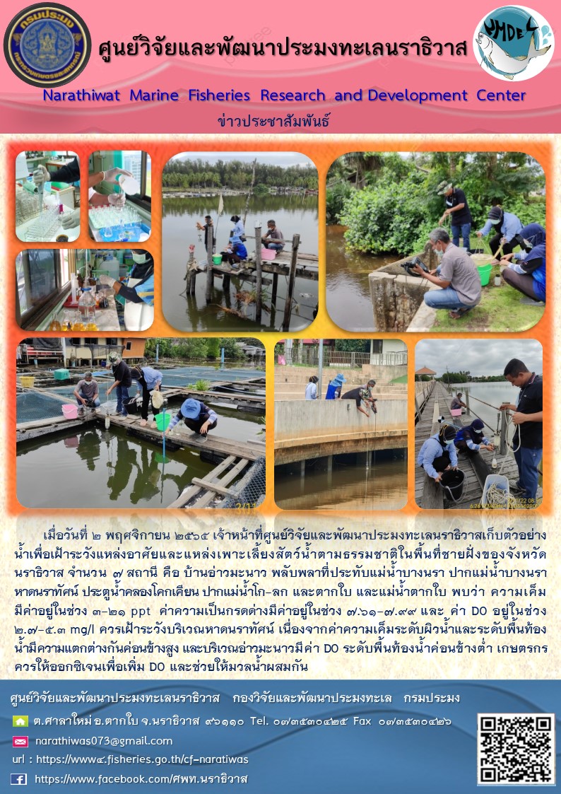 เมื่อวันที่ 2 พฤศจิกายน 2565 เจ้าหน้าที่ศูนย์วิจัยและพัฒนาประมงทะเลนราธิวาสเก็บตัวอย่างน้ำเพื่อเฝ้าระวังแหล่งอาศัยและแหล่งเพาะเลี้ยงน้ำตามธรรมชาติในพื้นที่ชายฝั่งของจังหวัดนราธิวาส จำนวน 7 สถานี คือ บ้านอ่าวมะนาว พลับพลาที่ประทับแม่น้ำบางนรา ปากแม่น้ำบางนรา หาดนราทัศน์ ประตูน้ำคลองโคกเคียน ปากแม่น้ำโก-ลก และตากใบ และแม่น้ำตากใบ พบว่า ความเค็มมีค่าอยู่ในช่วง 3-21 ppt ค่าความเป็นกรดด่างมีค่าอยู่ในช่วง 7.61-7.9 และค่า DO อยู่ในช่วง 2.7-5.3 mg/l ควรเฝ้าระวังบริเวณหาดนราทัศน์ เนื่องจากค่าความเค็มระดับผิวน้ำและระดับพื้นท้องน้ำมีความแตกต่างกันค่อนข้างสูง และบริเวณอ่าวมะนาวมีค่า DO ระดับพื้นท้องน้ำค่อนข้างต่ำ เกษตรกร ควรให้ออกซิเจนเพื่อเพิ่ม DO และช่วยให้มวลน้ำผสมกัน..คลิก