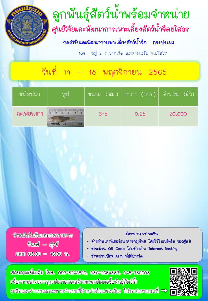 ลูกพันธุ์สัตว์น้ำพร้อมจำหน่าย 14 - 18 พ.ย.. 2565..คลิก