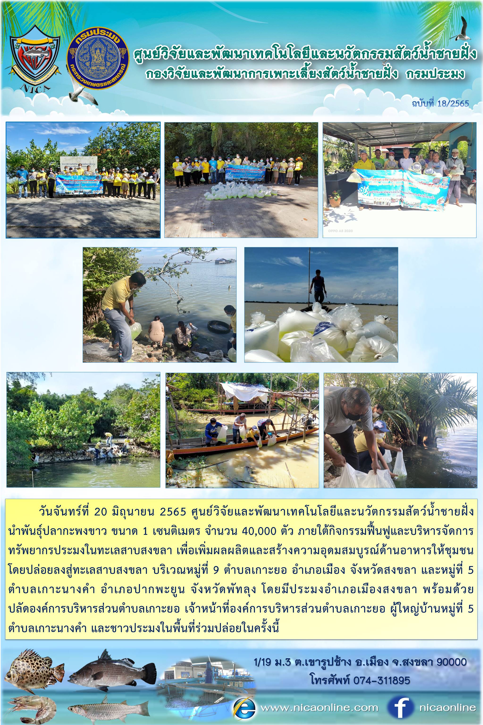 ข่าวประชาสัมพันธ์กิจกรรมหน่วยงาน