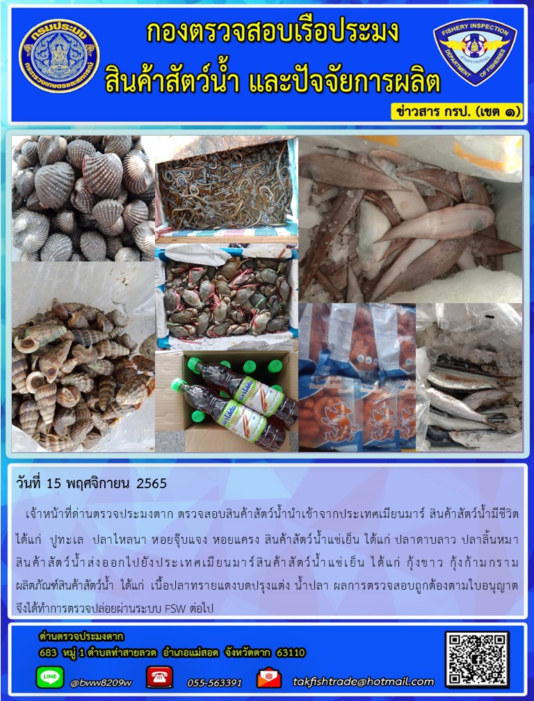 วันที่ 15 พฤศจิกายน 2565   เจ้าหน้าที่ด่านตรวจประมงตาก ตรวจสอบสินค้าสัตว์น้ำนำเข้าจากประเทศเมียนมาร์ สินค้าสัตว์น้ำมีชีวิต          ได้แก่  ปูทะเล  ปลาไหลนา หอยจุ๊บแจง หอยแครง สินค้าสัตว์น้ำแช่เย็น ได้แก่ ปลาดาบลาว ปลาลิ้นหมา          สินค้าสัตว์น้ำส่งออกไปยังประเทศเมียนมาร์สินค้าสัตว์น้ำแช่เย็น ได้แก่ กุ้งขาว กุ้งก้ามกราม                      ผลิตภัณฑ์สินค้าสัตว์น้ำ  ได้แก่  เนื้อปลาทรายแดงบดปรุงแต่ง น้ำปลา ผลการตรวจสอบถูกต้องตามใบอนุญาต                                    จึงได้ทำการตรวจปล่อยผ่านระบบ FSW ต่อไป..คลิก