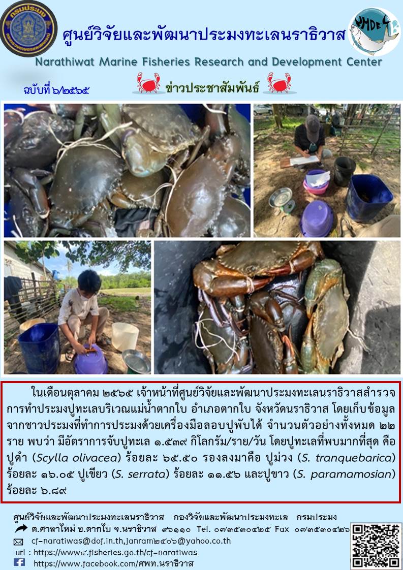 การเก็บข้อมูลปูทะเลในพื้นที่แม่น้ำตากใบ จังหวัดนราธิวาส..คลิก