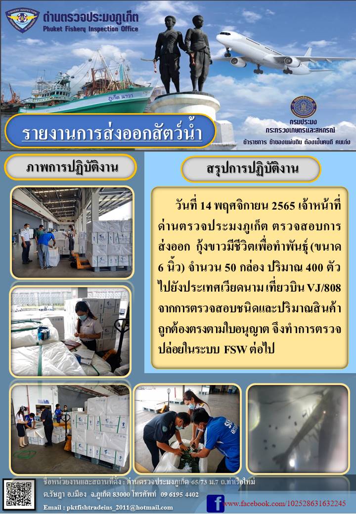 วันที่ 14 พฤศจิกายน 2565 เจ้าหน้าที่ด่านตรวจประมงภูเก็ต ตรวจสอบการส่งออกกุ้งขาวมีชีวิตเพื่อทำพันธุ์ (ขนาด 6 นิ้ว) จำนวน 50 กล่อง ปริมาณ 400 ตัที่ว ไปยังประเทศเวียดนาม เที่ยวบิน VJ808 จากการตรวจสอบชนิดและปริมาณสินค้าถูกต้องตรงตามใบอนุญาต จึงทำการตรวจปล่อยในระบบ FSW ต่อไป..คลิก