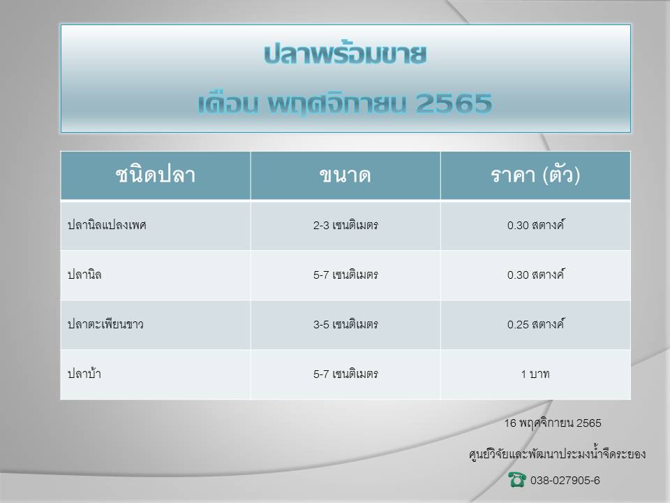 ปลาพร้อมขาย วันที่ 16 พฤศจิกายน 2565..คลิก