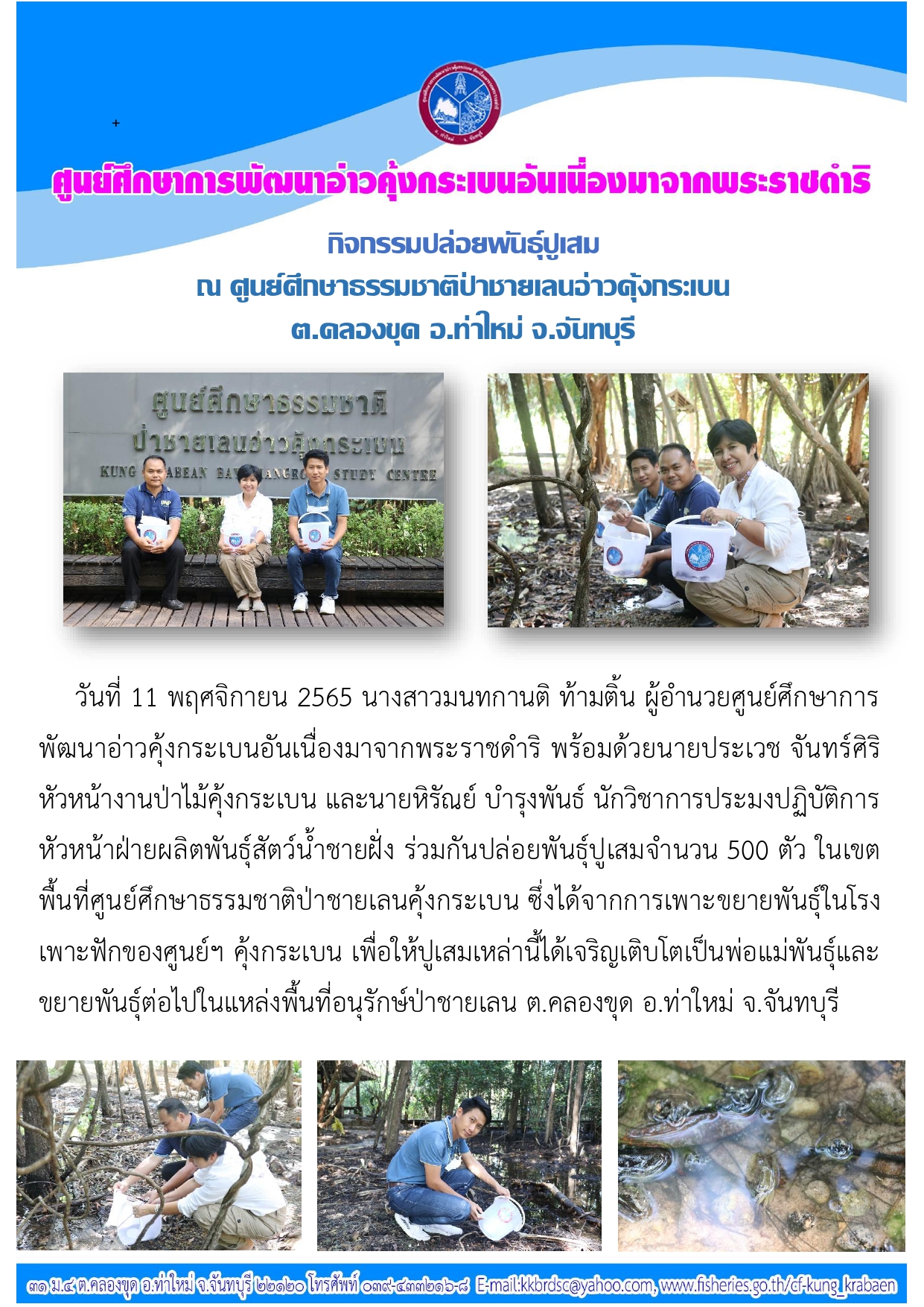 กิจกรรมปล่อยพันธุ์ปูแสม ณ ศูนย์ศึกษาธรรมชาติป่าชายเลนอ่าวคุ้งกระเบน ต.คลองขุด อ.ท่าใหม่ จ.จันทบุรี