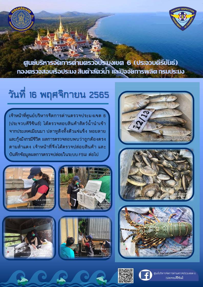 ตรวจสอบสินค้าสัตว์น้ำนำเข้าจากประเทศเมียนมา..คลิก