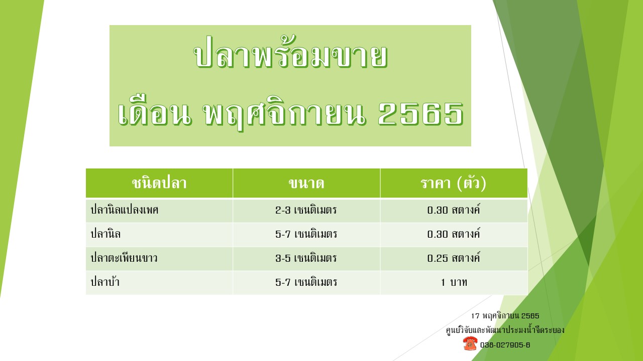 ปลาพร้อมขาย วันที่ 17 พฤศจิกายน 2565..คลิก