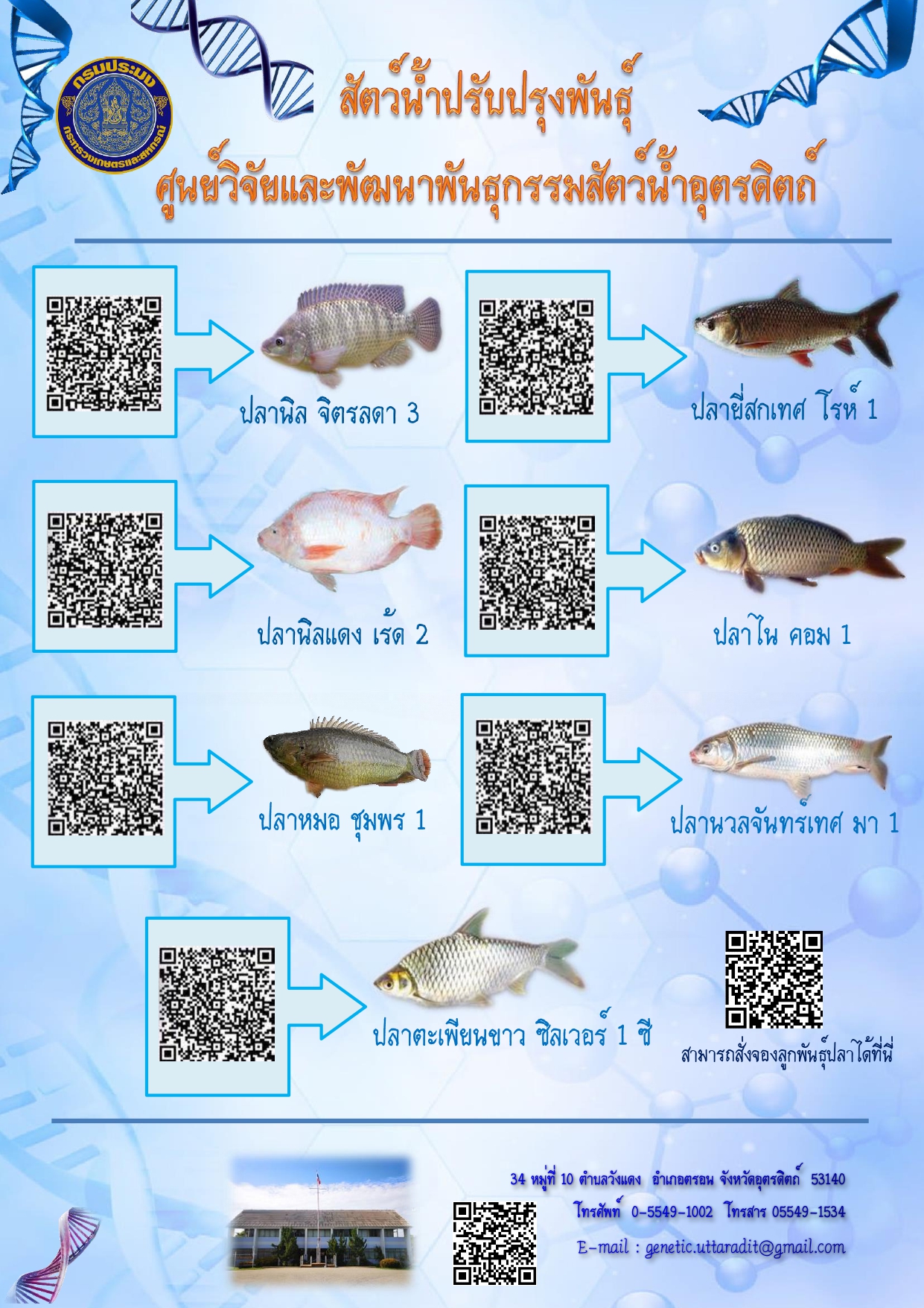 สัตว์น้ำที่ผ่านการปรับปรุงพันธุ์ของศูนย์ฯ..คลิก
