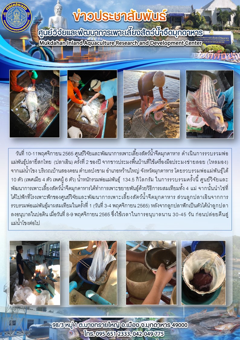 วันที่ 10-11พฤศจิกายน 2565 ศูนย์วิจัยและพัฒนาการเพาะเลี้ยงสัตว์น้ำจืดมุกดาหาร ( แค้มป์ปลาเอินครั้งที่ 2)..คลิก