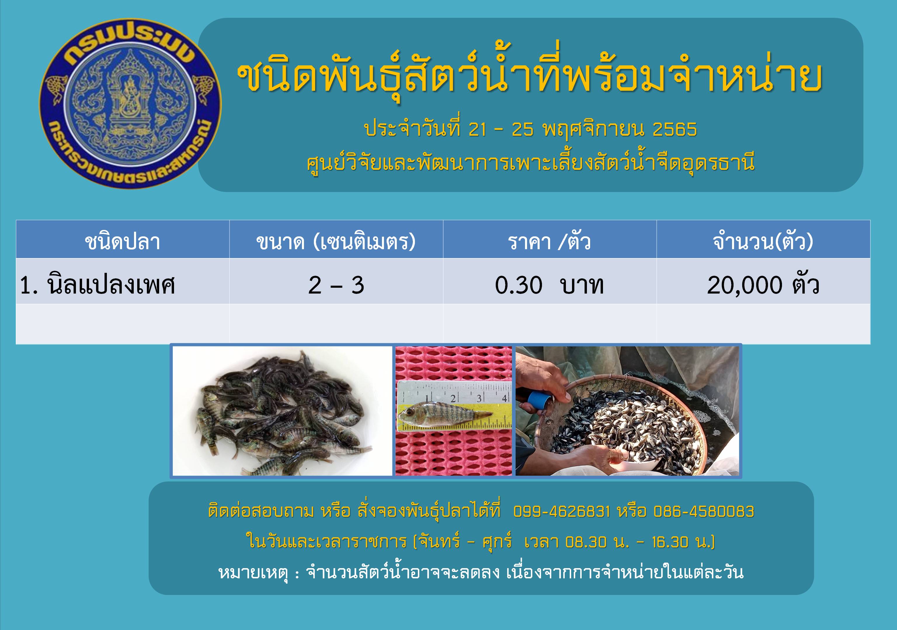 ชนิดพันธุ์สัตว์น้ำที่พร้อมจำหน่าย
