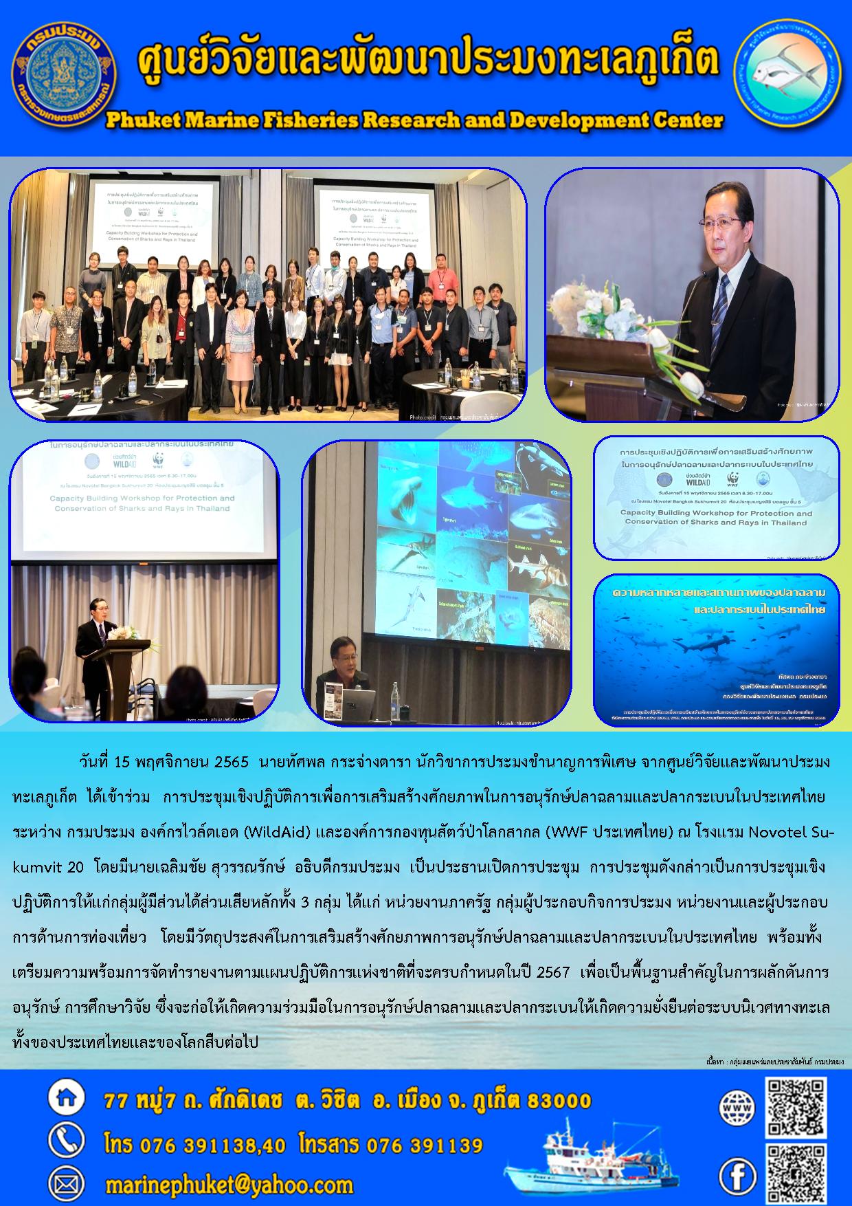 วันที่ 15 พฤศจิกายน 2565 นายทัศพล กระจ่างดารา นักวิชาการประมงชำนาญการพิเศษ จากศูนย์วิจัยและพัฒนประมงทะเลภูเก็ต ได้เข้าร่วม การประชุมเชิงปฏิบัติการเพื่อการเสริมสร้างศักยภาพในการอนุรักษ์ปลาฉลามและปลากระเบนในประเทศไทย ระหว่าง กรมประมง องค์กรไวล์ดเอด (WildAid) และองค์การกองทุนสัตว์ป่าโลกสากล (WWF ประเทศไทย) ณ โรงแรม Novotel Su-kumvit 20 โดยมีนายเฉลิมชัย สุวรรณรักษ์ อธิบดีกรมประมง เป็นประธานเปิดการประชุม การประชุมดังกล่าวเป็นการประชุมเชิงปฏิบัติการให้แก่กลุ่มผู้มีส่วนได้ส่วนเสียหลักทั้ง 3 กลุ่ม ได้แก่ หน่วยงานภาครัฐ กลุ่มผู้ประกอบกิจการประมง หน่วยงานและผู้ประกอบการด้านการท่องเที่ยว โดยมีวัตถุประสงค์ในการเสริมสร้างศักยภาพการอนุรักษ์ปลาฉลามและปลากระเบนในประเทศไทย พร้อมทั้งเตรียมความพร้อมการจัดทำรายงานงานตามแผนปฏิบัติการแห่งชาติที่จะครบกำหนดในปี 2567 เพื่อเป็นพื้นฐานสำคัญในการผลักดันการอนุรักษ์ การศึกษาวิจัย ซึ่งจะก่อให้เกิดความร่วมมือในการอนุรักษ์ปลาฉลามและปลากระเบนให้เกิดความยั่งยืนต่อระบบนิเวศทางทะเลทั้งของประเทศไทยและของโลกสืบไป..คลิก