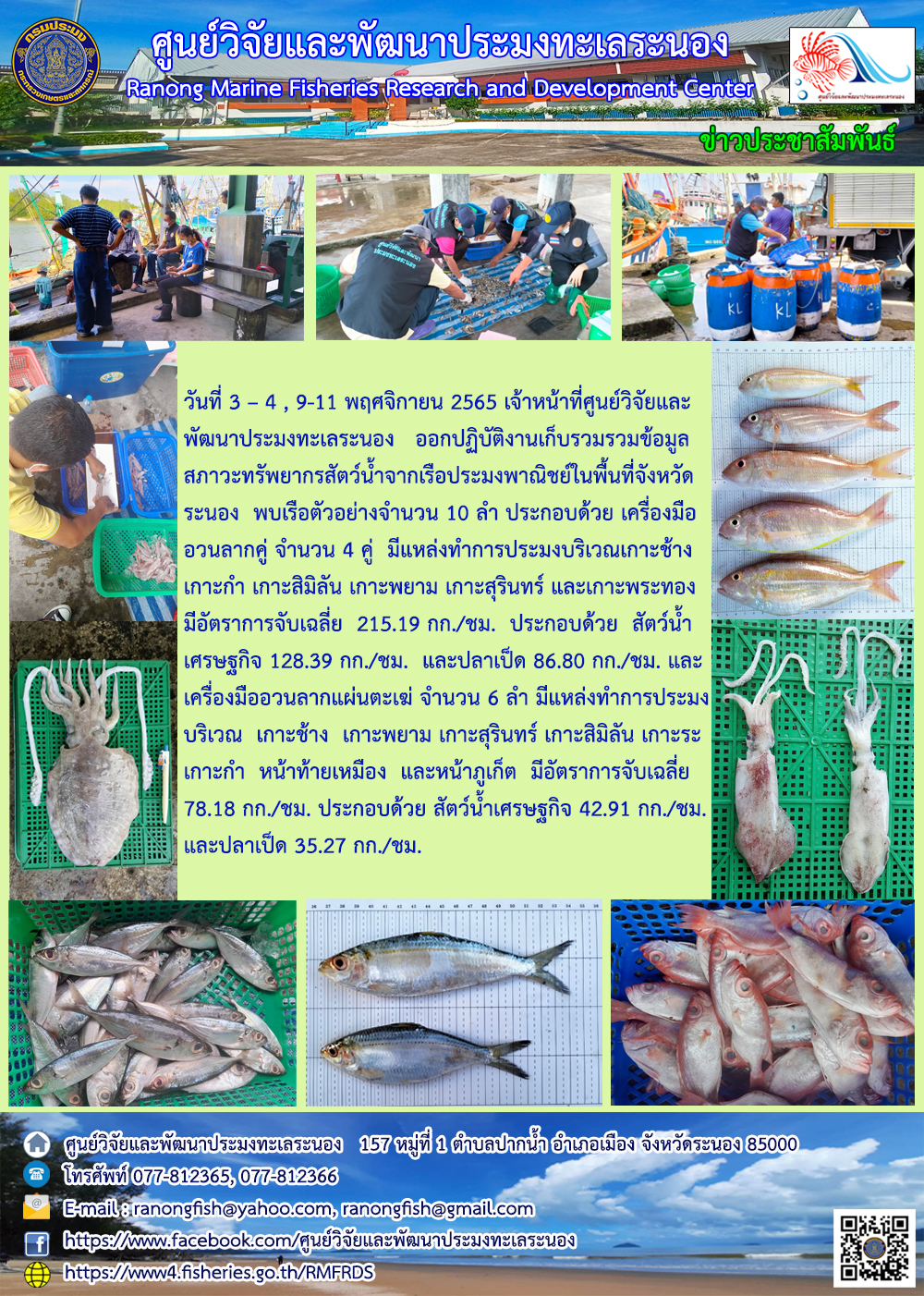 วันที่ 3 – 4 , 9 – 11 พฤศจิกายน 2565 เจ้าหน้าที่ศูนย์วิจัยและพัฒนาประมงทะระนอง ออกปฏิบัติงานเก็บรวบรวมข้อมูลสภาวะทรัพยากรสัตว์น้ำจากเรือประมงพาณิชย์ในพื้นที่จังหวัดระนอง พบเรือตัวอย่างจำนวน 10 ลำ ประกอบด้วย เครื่องมืออวนลากคู่ จำนวน 4 คู่ มีแหล่งทำการประมงบริเวณเกาะช้าง เกาะกำ เกาะสิมิลัน เกาะพยาม เกาะสุรินทร์ และเกาะพระทอง มีอัตราการจับเฉลี่ย 215.19 กก./ชม. ประกอบด้วย สัตว์น้ำเศรษฐกิจ 128.39 กก./ชม. และปลาเป็ด 86.80 กก.ชม. และเครื่องมืออวนลากแผ่นตะเฆ่ จำนวน 6 ลำ มีแหล่งทำการประมง บริเวณ เกาะช้าง เกาะพยาม เกาะสุรินทร์ เกาะสิมิลัน เกาะระ เกาะกำ หน้าท้ายเหมือง และหน้าภูเก็ต มีอัตรากับจับเฉลี่ย 78.18 กก./ชม. ประกอบด้วย สัตว์น้ำเศรษฐกิจ 42.91 กก./ชม. และปลาเป็ด 35.27 กก./ชม...คลิก