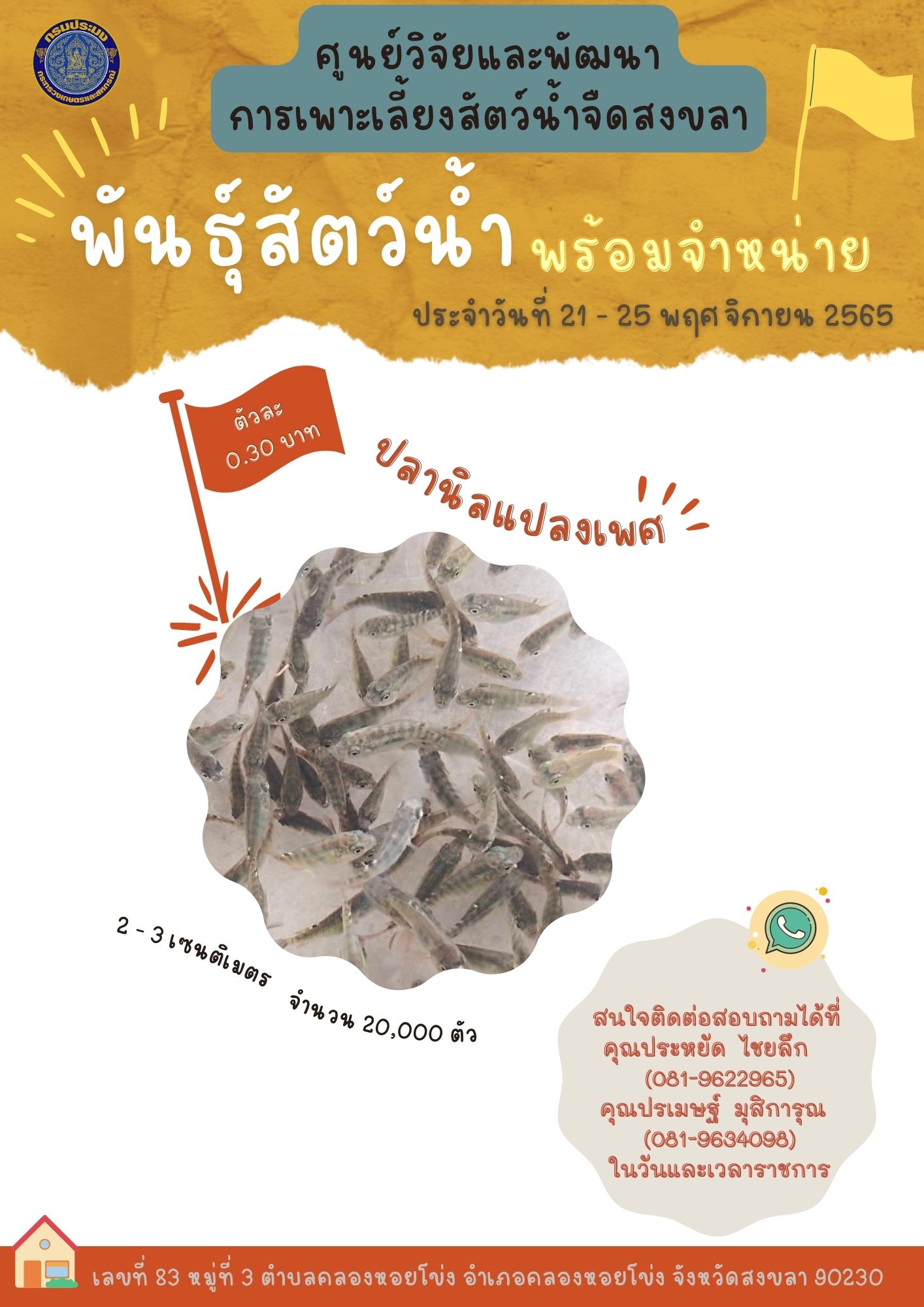 พันธุ์สัตว์น้ำพร้อมจำหน่าย