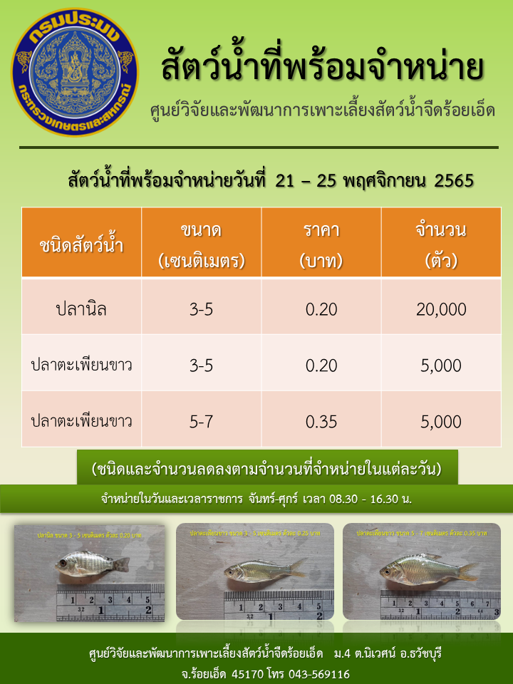 สัตว์น้ำที่พร้อมจำหน่ายวันที่ 21 – 25 พฤศจิกายน 2565..คลิก