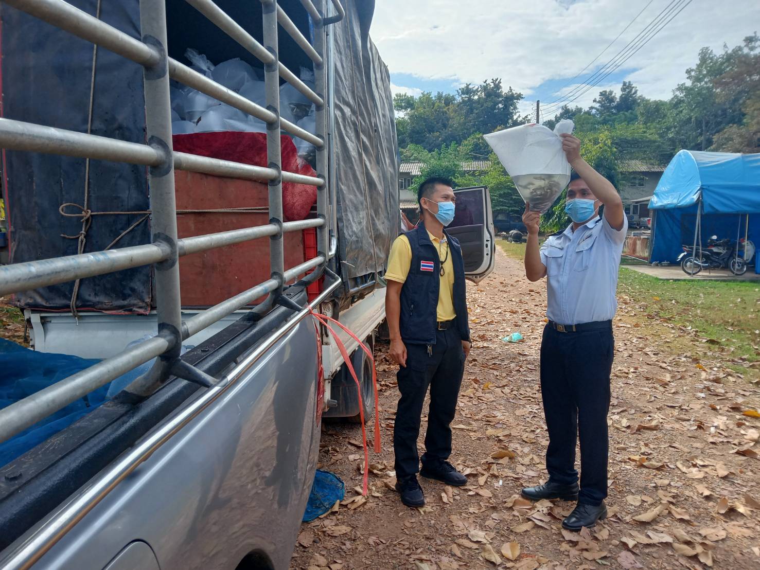 ตรวจสอบลูกพันธุ์สัตว์น้ำ ส่งออกไปยัง สปป.ลาว..คลิก