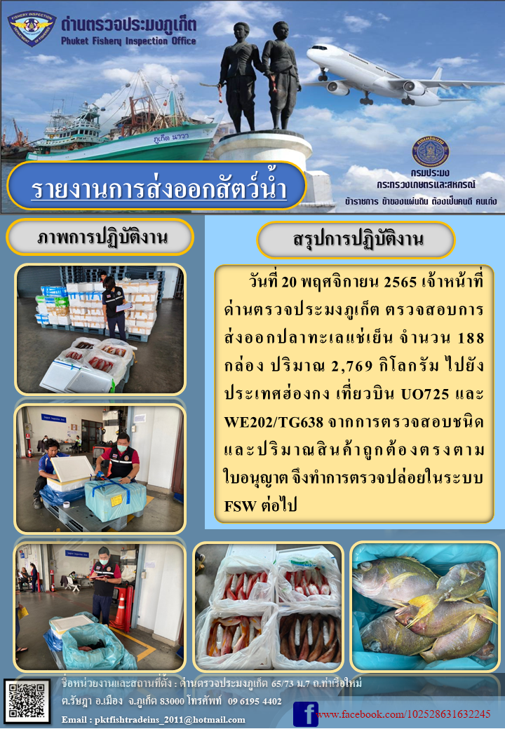 วันที่ 20 พฤศจิกายน 2565 เจ้าหน้าที่ด่านตรวจประมงภูเก็ต ตรวจสอบการส่งออกปลาทะเลแช่เย็น จำนวน 188 กล่อง ปริมาณ 2,769 กิโลกรัม ไปยังฮ่องกง เที่ยวบิน UO725 และ WE202/TG638 จากการตรวจสอบชนิดและปริมาณสินค้าถูกต้องตรงตามใบอนุญาต จึงทำการตรวจปล่อยในระบบ FSW ต่อไป..คลิก