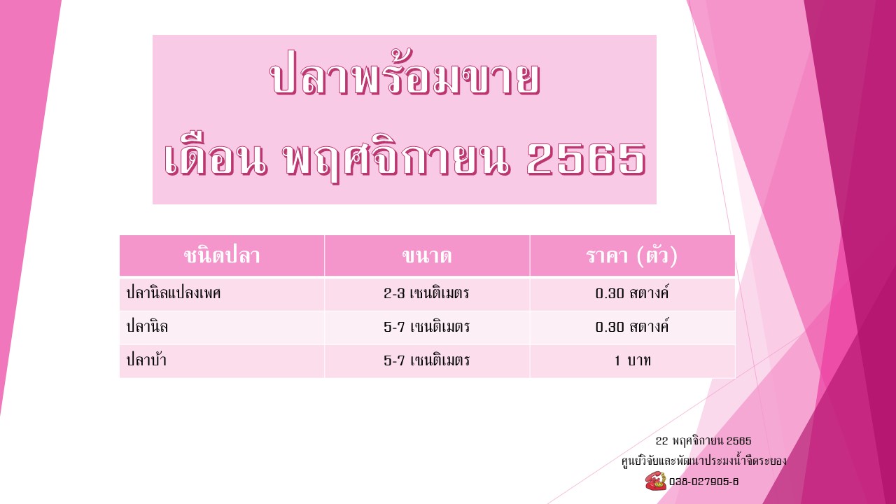 ปลาพร้อมขาย วันที่ 22 พฤศจิกายน 2565..คลิก