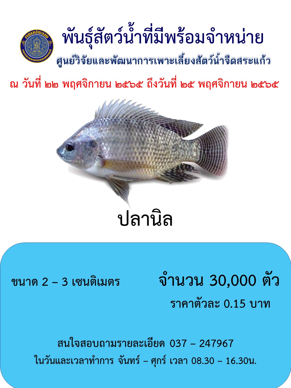 ลูกพันธุ์ปลานิลพร้อมจำหน่าย