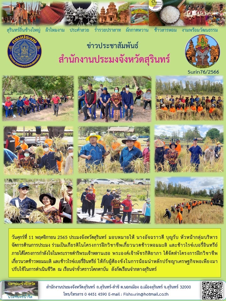 ประชาสัมพันธ์ เดือน พฤศจิกายน 2565