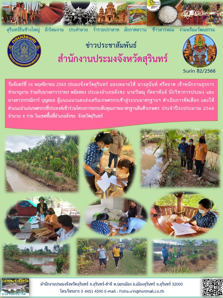 ประชาสัมพันธ์ เดือน พฤศจิกายน 2565..คลิก