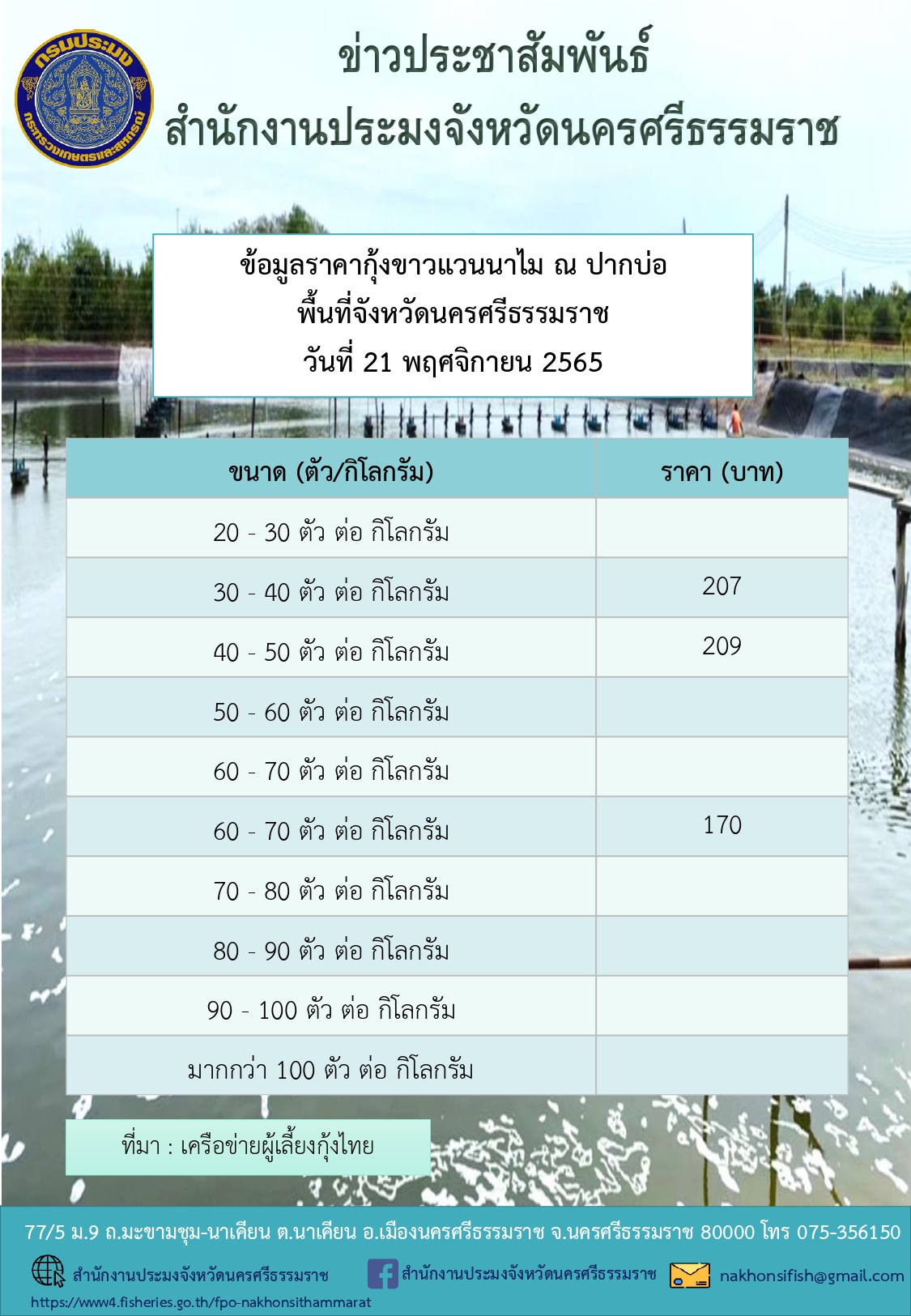 ราคากุ้งขาวแวนนาไม ณ ปากบ่อ พื้นที่จังหวัดนครศรีธรรมราช วันที่ 21 พฤศจิกายน 2565