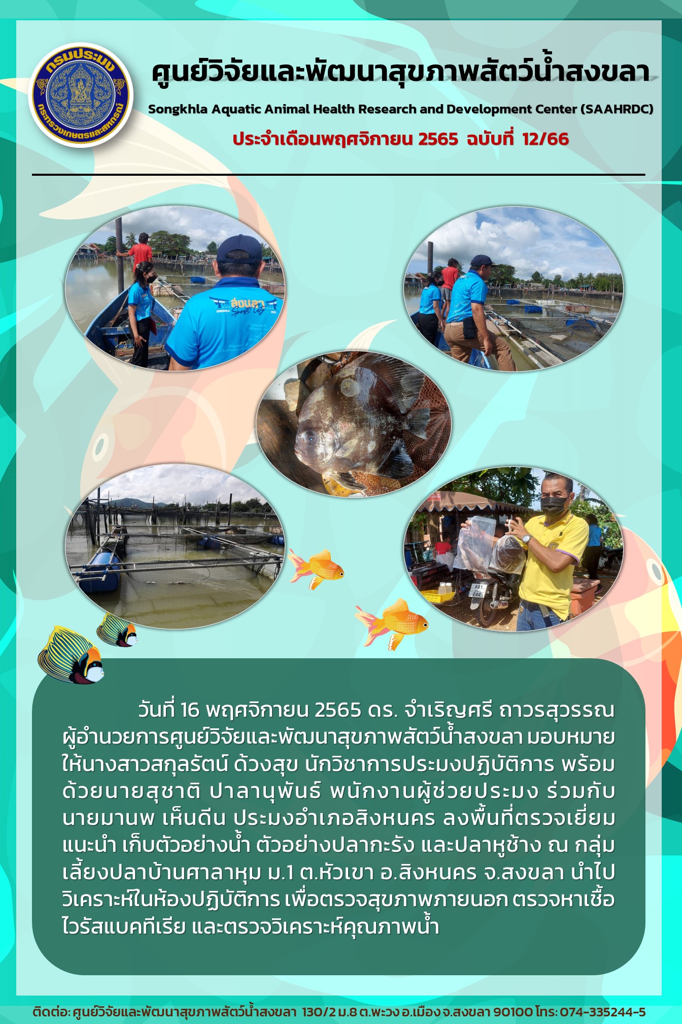 ฉบับที่ 12/66  ศูนย์วิจัยและพัฒนาสุขภาพสัตว์น้ำสงขลา ร่วมกับประมงอำเภอสิงหนคร ลงพื้นที่ตรวจเยี่ยม แนะนํา เก็บตัวอย่างน้ำ ตัวอย่างปลากะรัง และปลาหูช้าง..คลิก