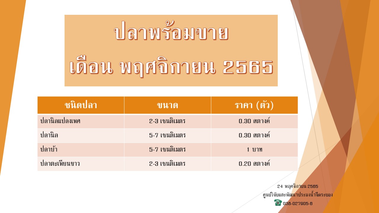 ปลาพร้อมขาย วันที่ 24 พฤศจิกายน 2565..คลิก