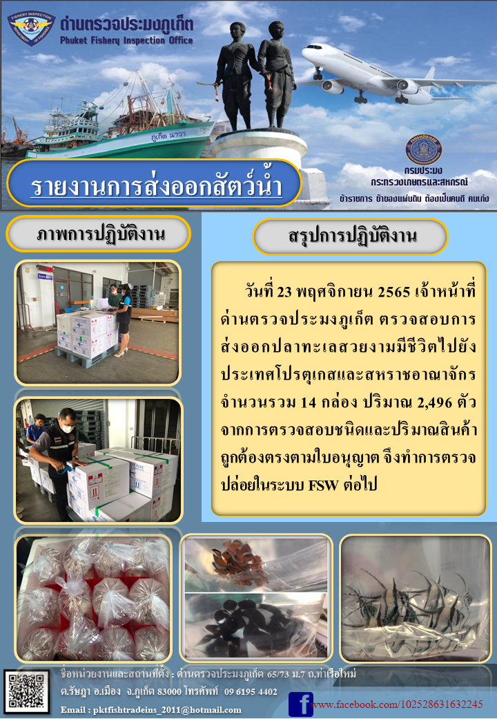 วันที่ 23 พฤศจิกายน 2565 เจ้าหน้าที่ด่านตรวจประมงภูเก็ต ตรวจสอบการส่งออกปลาทะเลสวยงาม จำนวน 14 กล่อง ปริมาณ 2,496 ตัว ไปยังประเทศโปรตุเกสเเละสหราชอาณาจักร จากการตรวจสอบชนิดและปริมาณสินค้าถูกต้องตรงตามใบอนุญาต จึงทำการตรวจปล่อยในระบบ FSW ต่อไป..คลิก